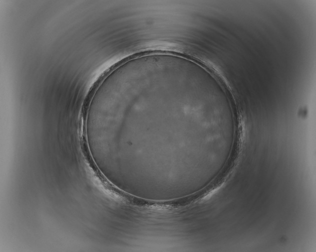 X0000115451125200911181541