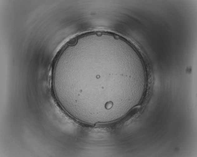 X0000115451126200911181541