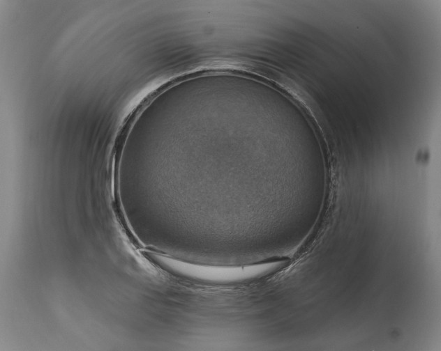 X0000115451127200911181541