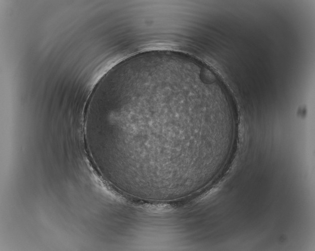 X0000115451129200911181541