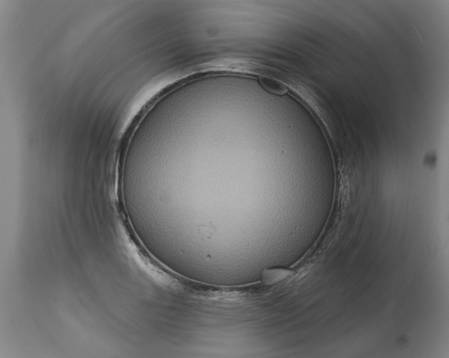 X0000115451131200911181541