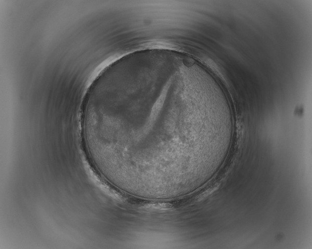 X0000115451133200911181541