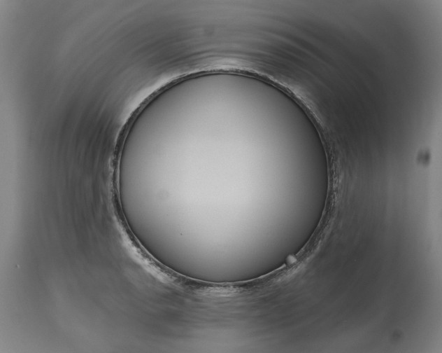 X0000115451134200911181541