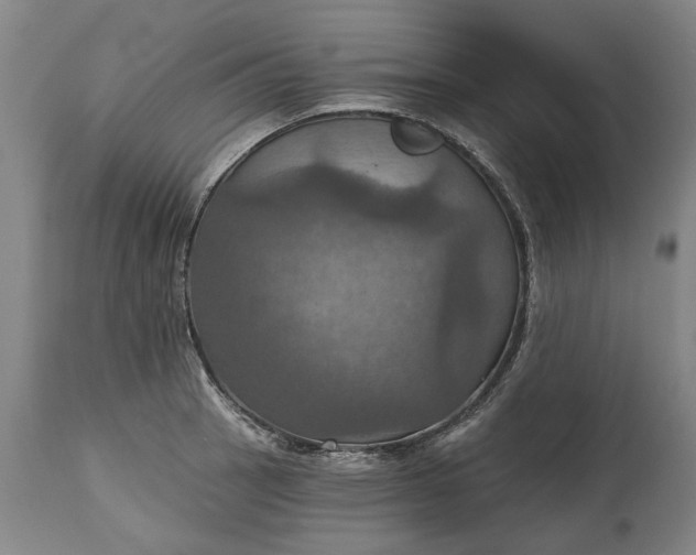 X0000115451137200911181541