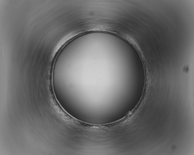 X0000115451138200911181541