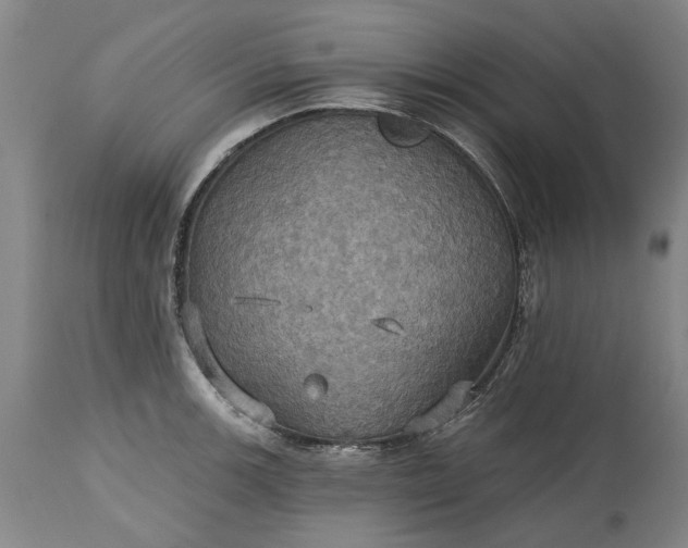 X0000115451139200911181541