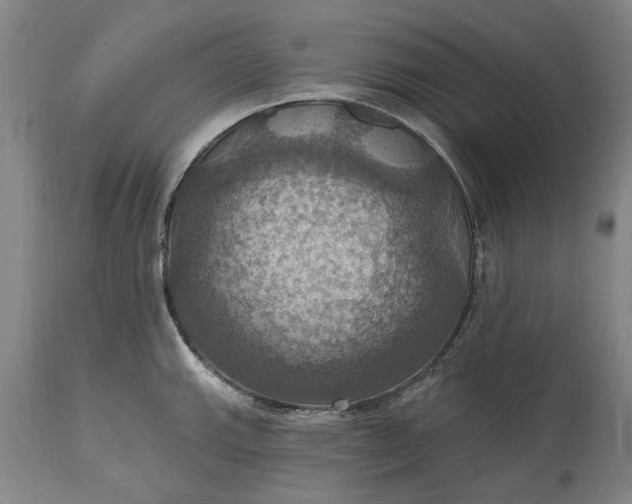 X0000115451143200911181541