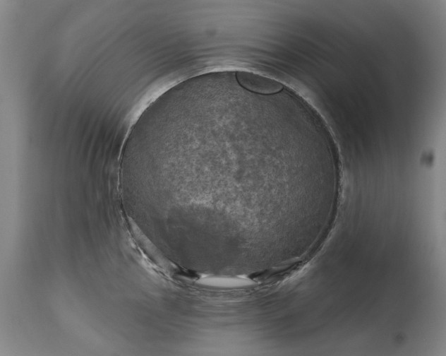 X0000115451145200911181541