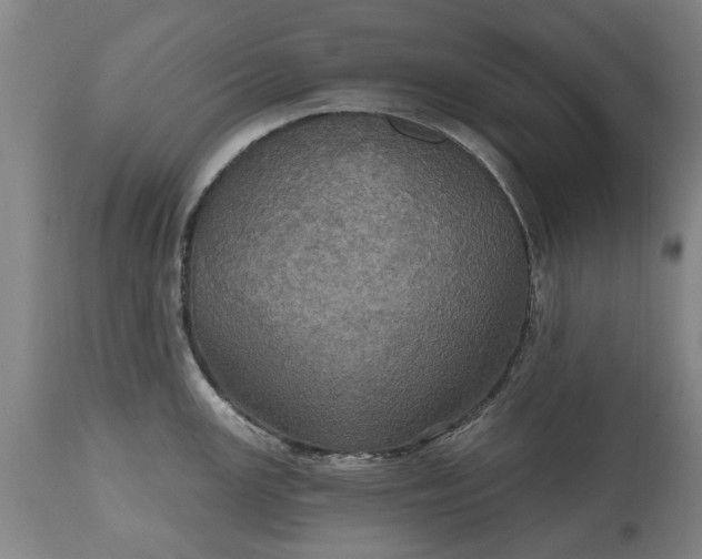 X0000115451147200911181541