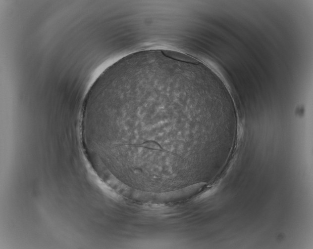 X0000115451149200911181541