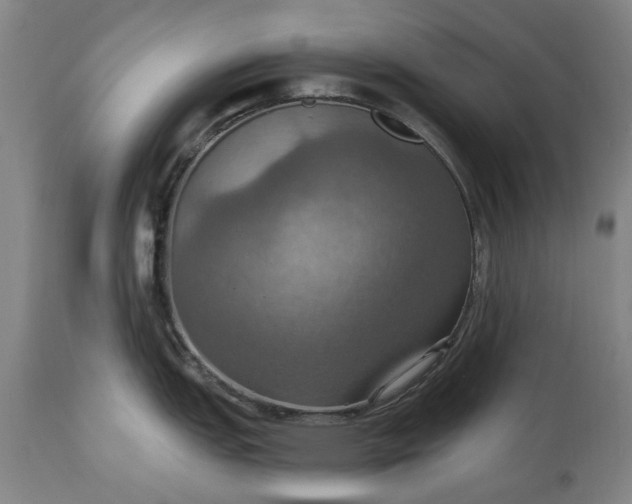 X0000115451151200911181541