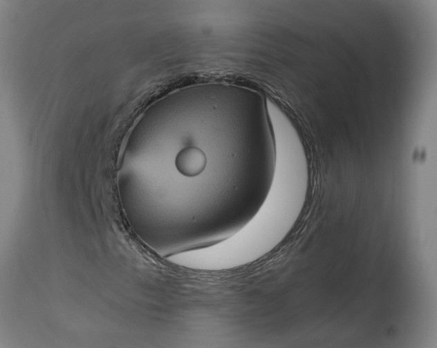 X0000115451153200911181540