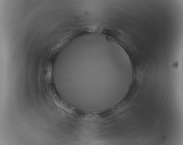 X0000115451154200911181540