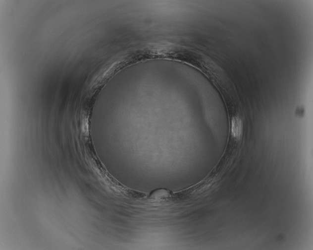 X0000115451155200911181540