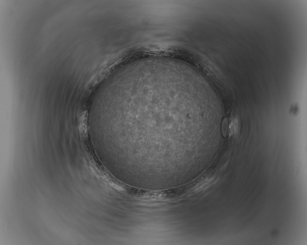 X0000115451156200911181540