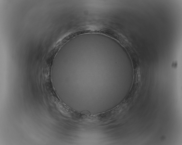 X0000115451158200911181540