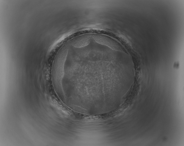 X0000115451159200911181540