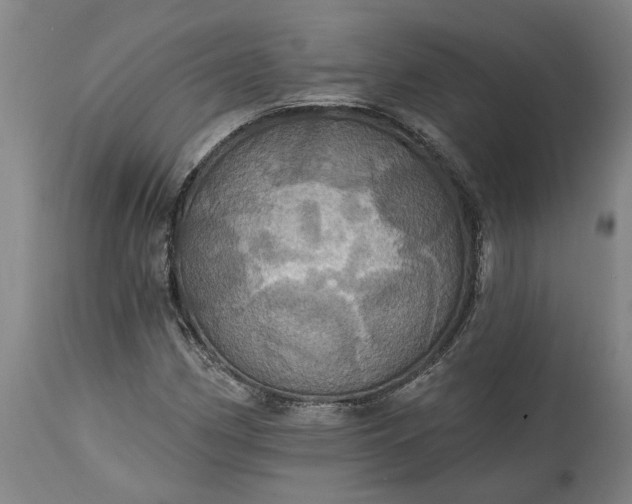 X0000115451162200911181540