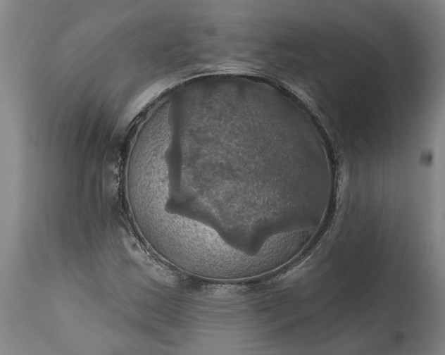 X0000115451163200911181540