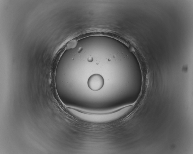 X0000115451165200911181540