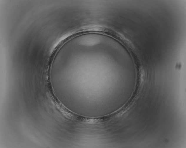 X0000115451166200911181540