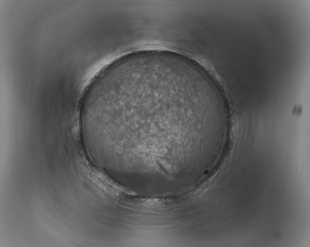 X0000115451167200911181540