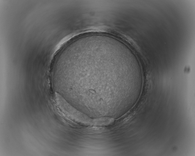 X0000115451168200911181540