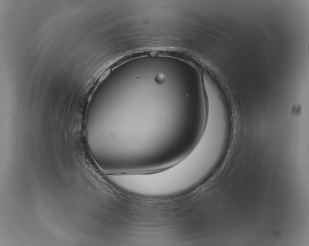 X0000115451169200911181540