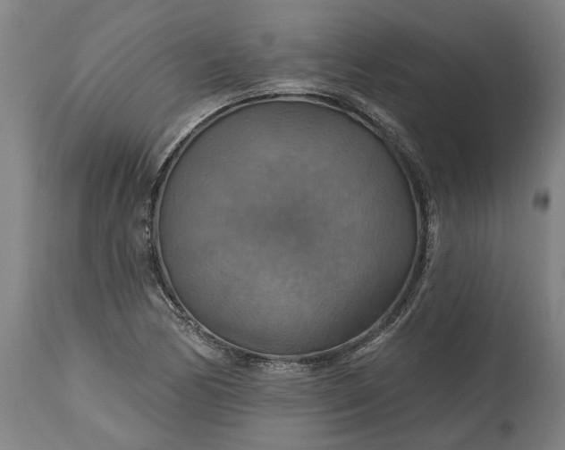 X0000115451170200911181540