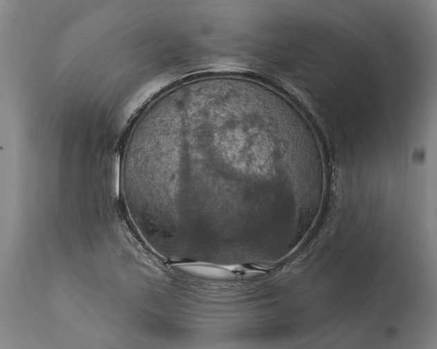 X0000115451171200911181540