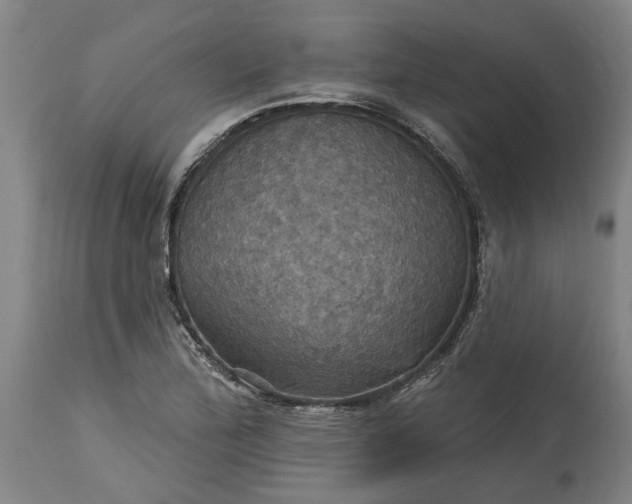 X0000115451172200911181540