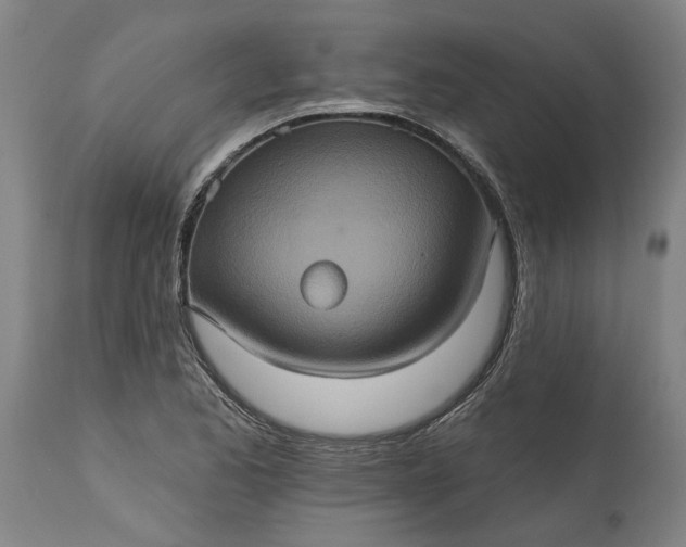 X0000115451173200911181540