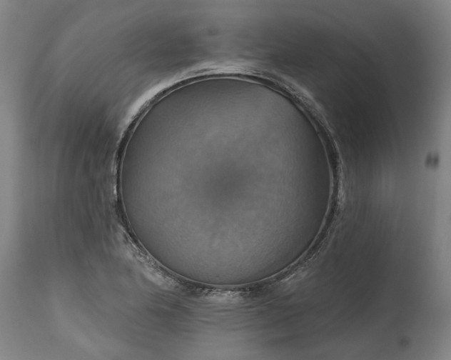 X0000115451174200911181540