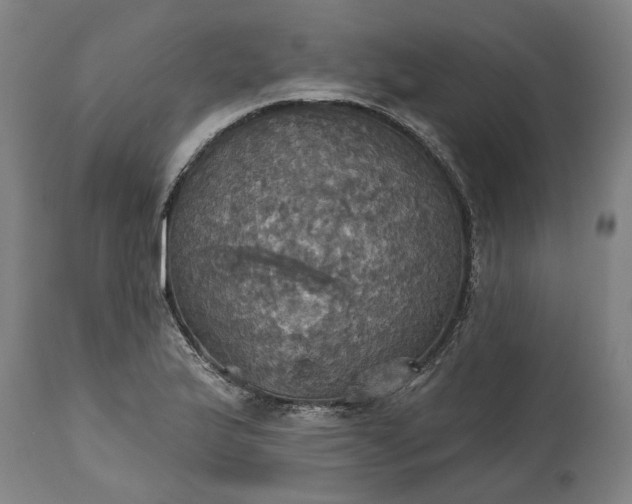 X0000115451175200911181540