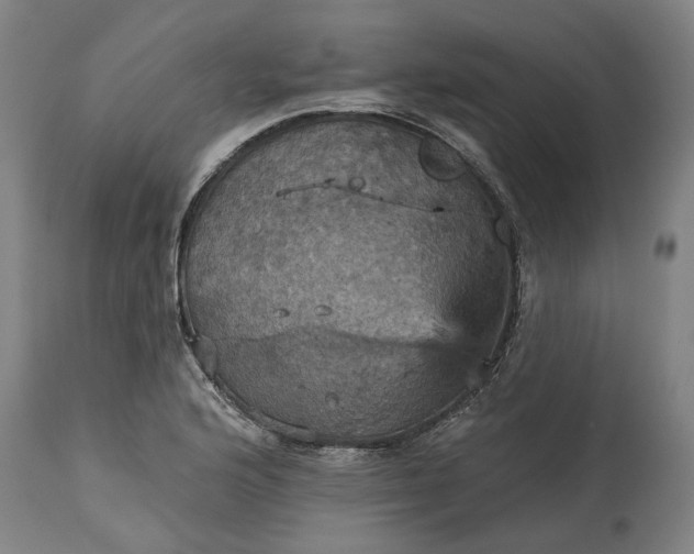 X0000115451176200911181540