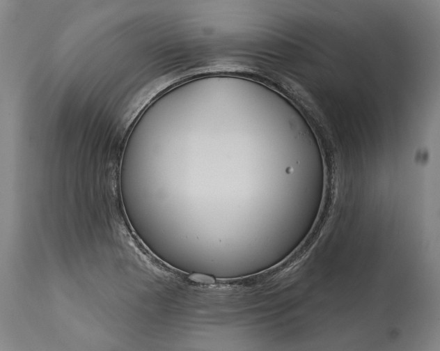 X0000115451177200911181540