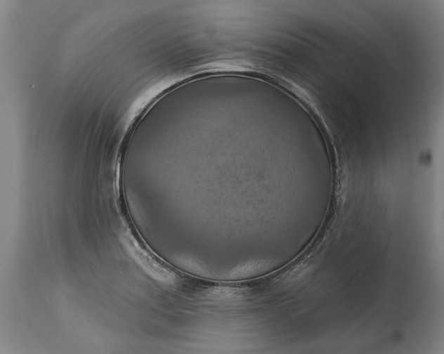 X0000115451179200911181540