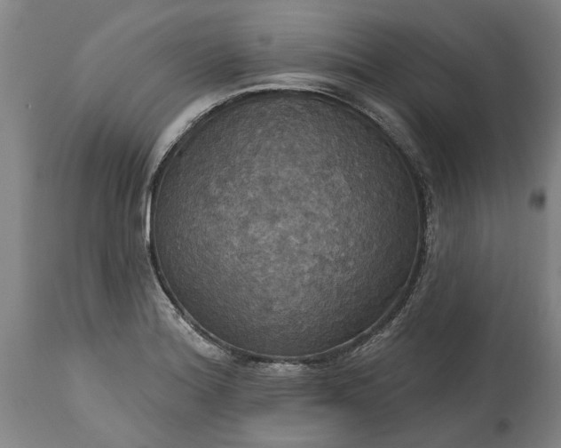 X0000115451180200911181540