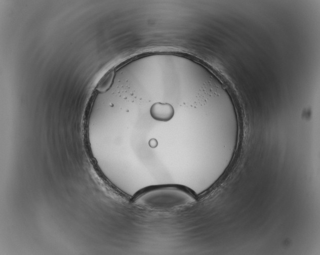 X0000115451181200911181540