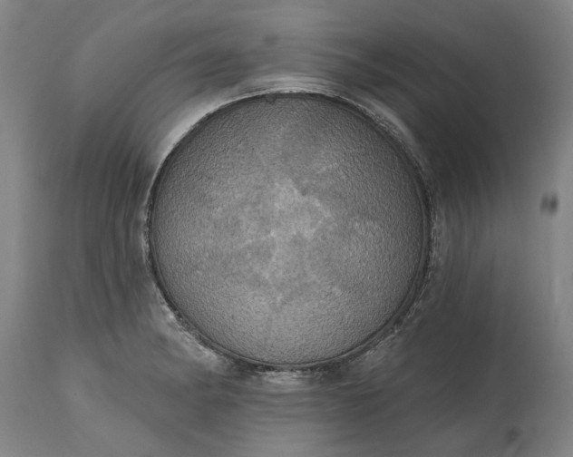 X0000115451182200911181540