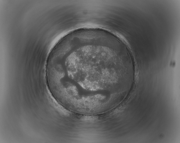 X0000115451183200911181540