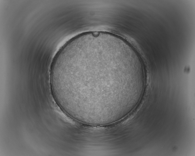 X0000115451184200911181540