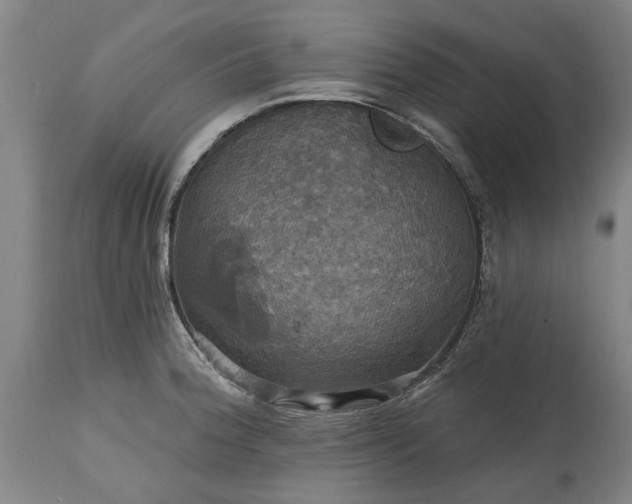 X0000115451188200911181540