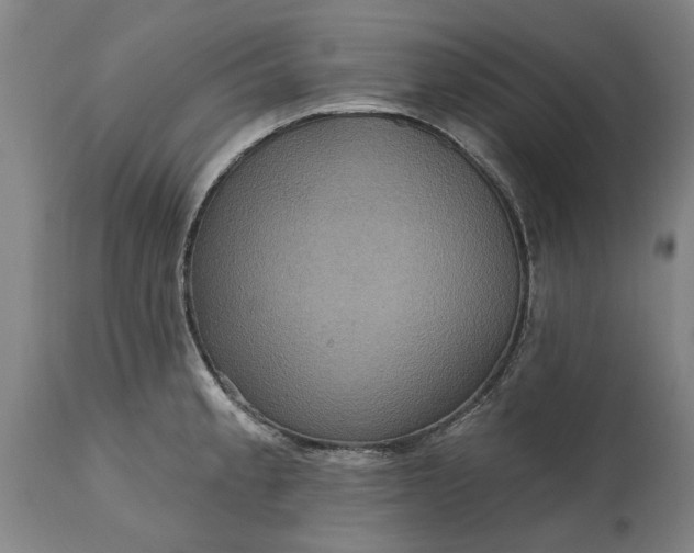 X0000115451189200911181540