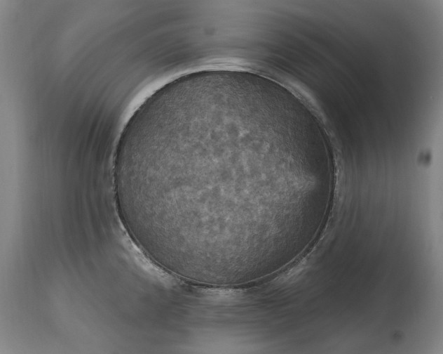 X0000115451192200911181540