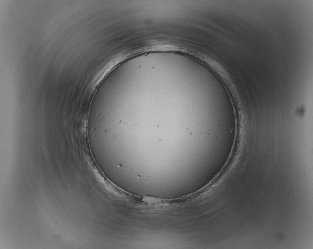 X0000115451193200911181540