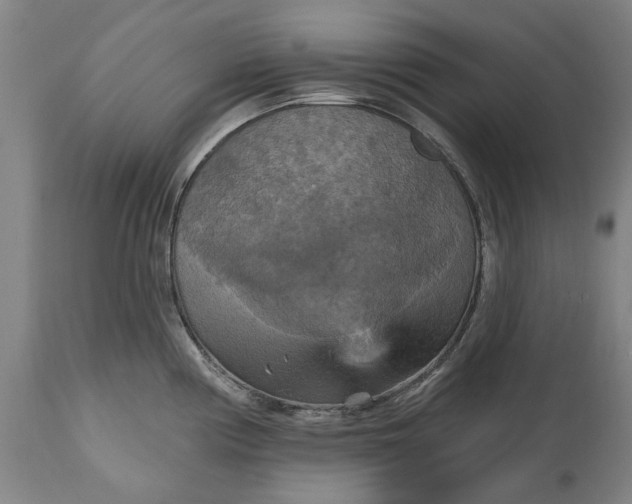 X0000115451194200911181540