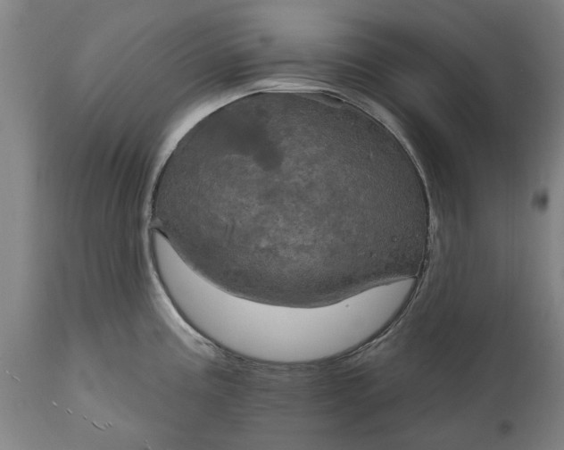 X0000115451195200911181540