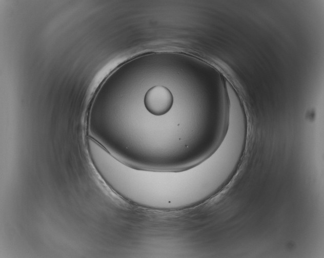 X0000115451196200911181540