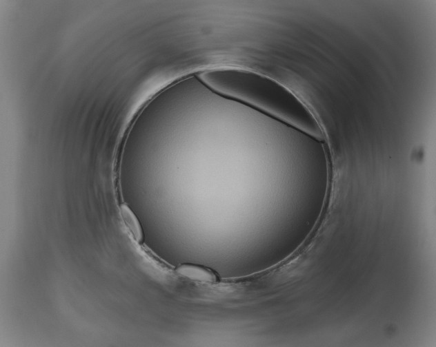 X0000115451197200911181540